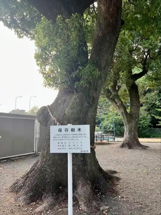 稲荷神社(静岡県)
