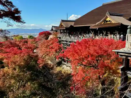 清水寺の{uncategorized: "未分類", other: "その他", undefined: "問題あり", building: "その他建物", grave: "お墓", sacred_gate: "鳥居", guardian: "狛犬", statue: "像", buddha: "仏像", history: "歴史", nature: "自然", garden: "庭園", animal: "動物", pagoda: "塔", temizu: "手水舎", mountain_gate: "山門・神門", sanctuary: "本殿・本堂", subordinate: "末社・摂社", art: "芸術", scenery: "景色", jizo: "地蔵", ema: "絵馬", goshuin: "御朱印", omikuji: "おみくじ", items: "授与品その他", amulet: "お守り", goshuincho: "御朱印帳", eats: "食事", festival: "お祭り", votive_dance: "神楽", shichigosan: "七五三参", wedding: "結婚式", experience: "体験その他", initially: "初詣", around: "周辺", anti_infection: "感染症対策"}