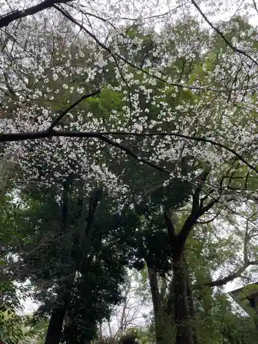 大宮八幡宮の自然