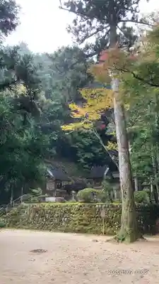 玉作湯神社のその他建物