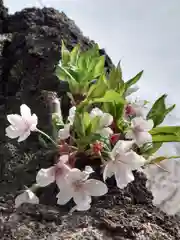 座間神社(神奈川県)