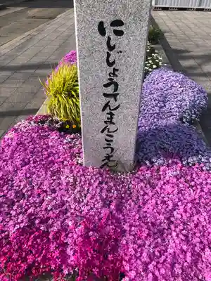 西條天満神社(山形県)