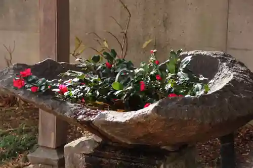 愛宕神社の手水