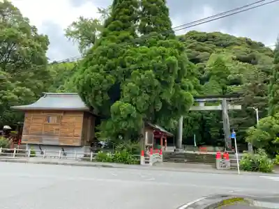 豊玉姫神社(鹿児島県)