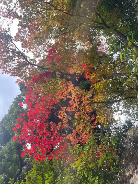 深大寺(東京都)