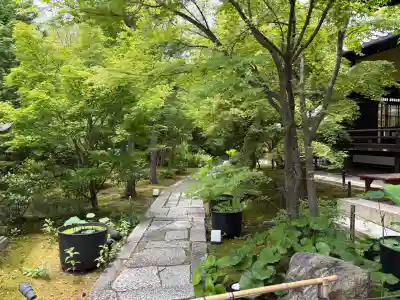 勝林寺(京都府)