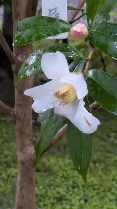 城南宮(京都府)