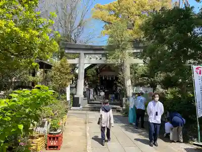 江東天祖神社の鳥居