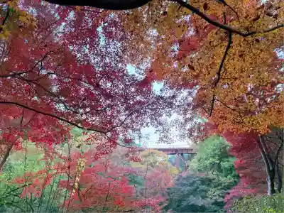 神應寺(京都府)