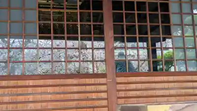 墨染寺（桜寺）(京都府)