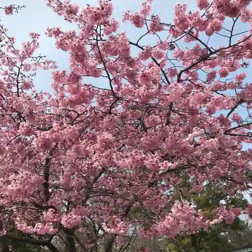 濃飛護國神社の自然