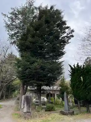 高龍寺(山梨県)