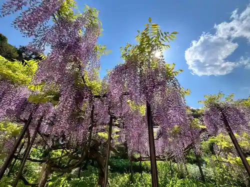 白毫寺熊野権現社(兵庫県)