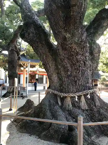 大聖観音寺（あびこ観音）の自然