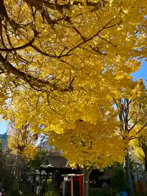 千住本氷川神社(東京都)