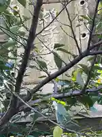 雉子神社のその他建物