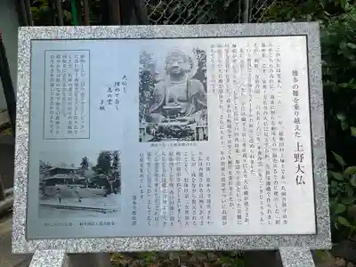 上野大佛(東京都)