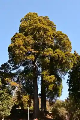 河内白王神社(高知県)