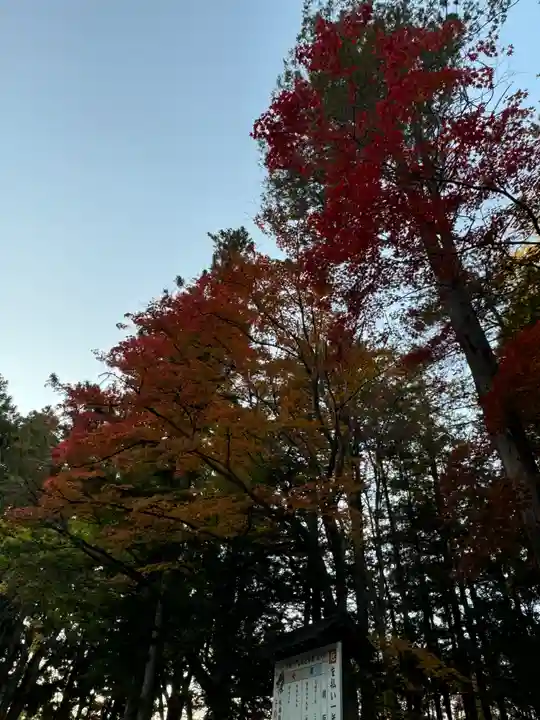 諏訪大社下社秋宮(長野県)