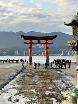 厳島神社の{uncategorized: "未分類", other: "その他", undefined: "問題あり", building: "その他建物", grave: "お墓", sacred_gate: "鳥居", guardian: "狛犬", statue: "像", buddha: "仏像", history: "歴史", nature: "自然", garden: "庭園", animal: "動物", pagoda: "塔", temizu: "手水舎", mountain_gate: "山門・神門", sanctuary: "本殿・本堂", subordinate: "末社・摂社", art: "芸術", scenery: "景色", jizo: "地蔵", ema: "絵馬", goshuin: "御朱印", omikuji: "おみくじ", items: "授与品その他", amulet: "お守り", goshuincho: "御朱印帳", eats: "食事", festival: "お祭り", votive_dance: "神楽", shichigosan: "七五三参", wedding: "結婚式", experience: "体験その他", initially: "初詣", around: "周辺", anti_infection: "感染症対策"}