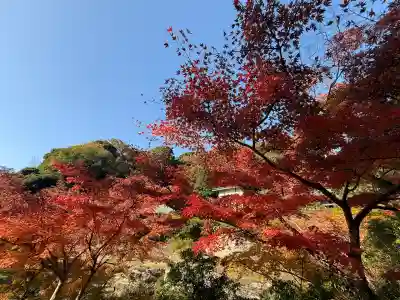 建長寺(神奈川県)