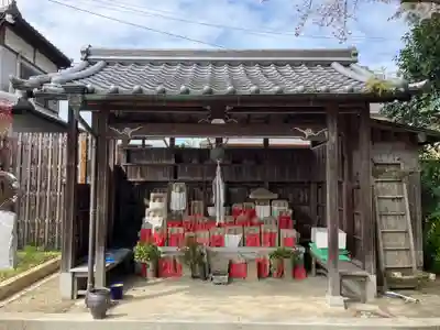 般若寺 ❁﻿コスモス寺❁(奈良県)