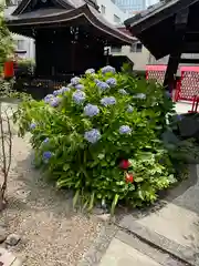 三輪神社(愛知県)