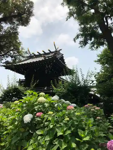 白山神社の本殿・本堂