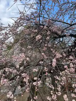 川口神社(埼玉県)