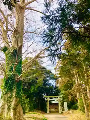 鷲宮神社(茨城県)