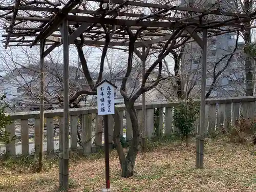 八雲神社(緑町)(栃木県)