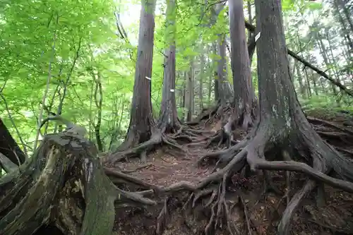 武蔵御嶽神社奥の院(東京都)