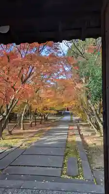 興聖寺(京都府)