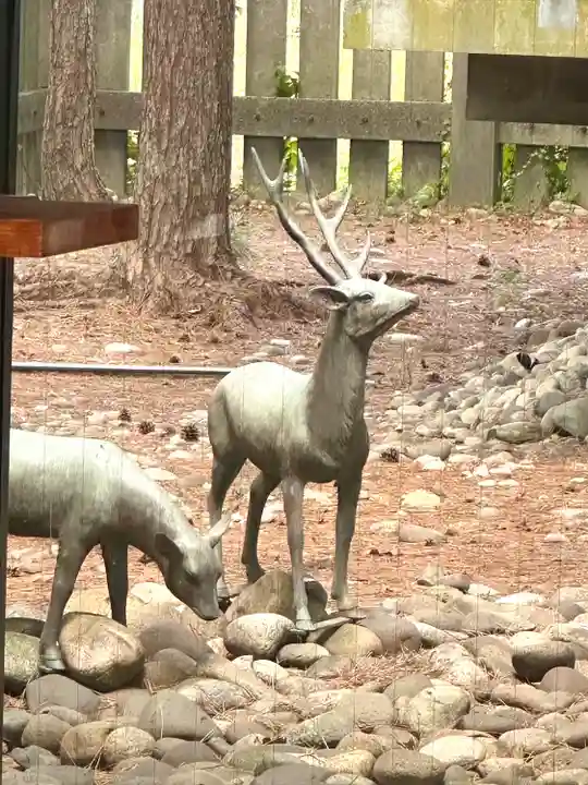 福井神社(福井県)
