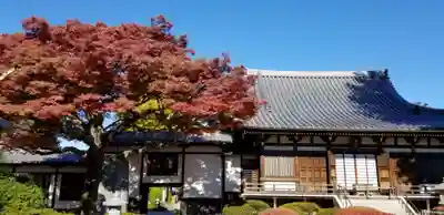 國分寺の本殿・本堂