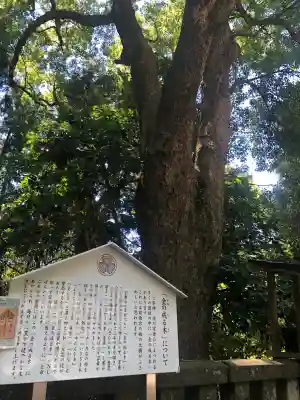 久能山東照宮の御朱印
