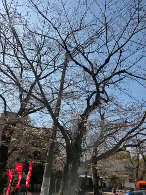 蓮馨寺の{uncategorized: "未分類", other: "その他", undefined: "問題あり", building: "その他建物", grave: "お墓", sacred_gate: "鳥居", guardian: "狛犬", statue: "像", buddha: "仏像", history: "歴史", nature: "自然", garden: "庭園", animal: "動物", pagoda: "塔", temizu: "手水舎", mountain_gate: "山門・神門", sanctuary: "本殿・本堂", subordinate: "末社・摂社", art: "芸術", scenery: "景色", jizo: "地蔵", ema: "絵馬", goshuin: "御朱印", omikuji: "おみくじ", items: "授与品その他", amulet: "お守り", goshuincho: "御朱印帳", eats: "食事", festival: "お祭り", votive_dance: "神楽", shichigosan: "七五三参", wedding: "結婚式", experience: "体験その他", initially: "初詣", around: "周辺", anti_infection: "感染症対策"}