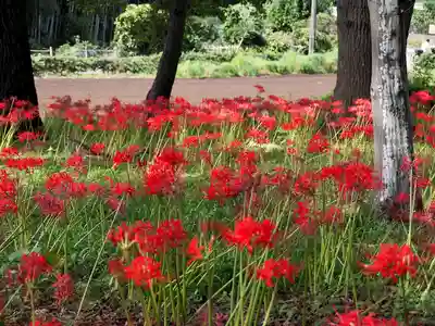 祖光院(千葉県)