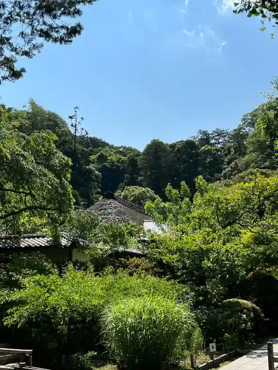 浄智寺(神奈川県)