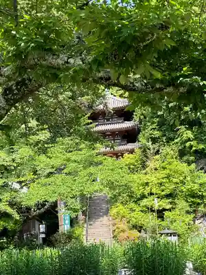 松尾寺の塔