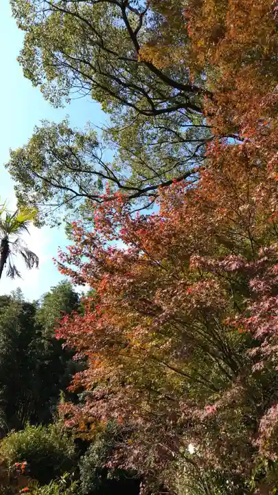 箆取神社の自然