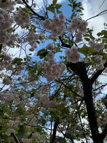 宝珠山 立石寺の自然