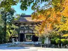 園城寺（三井寺）(滋賀県)