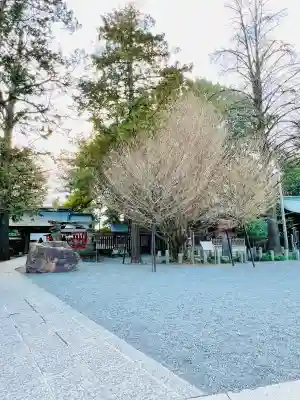 秩父神社の{uncategorized: "未分類", other: "その他", undefined: "問題あり", building: "その他建物", grave: "お墓", sacred_gate: "鳥居", guardian: "狛犬", statue: "像", buddha: "仏像", history: "歴史", nature: "自然", garden: "庭園", animal: "動物", pagoda: "塔", temizu: "手水舎", mountain_gate: "山門・神門", sanctuary: "本殿・本堂", subordinate: "末社・摂社", art: "芸術", scenery: "景色", jizo: "地蔵", ema: "絵馬", goshuin: "御朱印", omikuji: "おみくじ", items: "授与品その他", amulet: "お守り", goshuincho: "御朱印帳", eats: "食事", festival: "お祭り", votive_dance: "神楽", shichigosan: "七五三参", wedding: "結婚式", experience: "体験その他", initially: "初詣", around: "周辺", anti_infection: "感染症対策"}