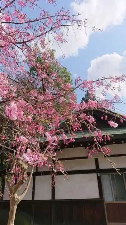 尾張大國霊神社(国府宮)のその他建物