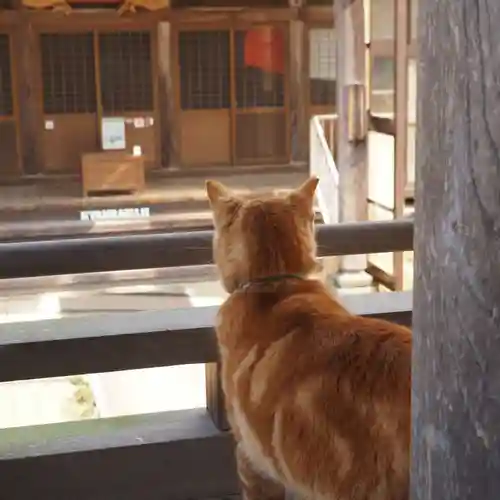 天王山 安楽寺(福井県)