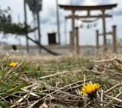 🌸乙部八幡神社(北海道)