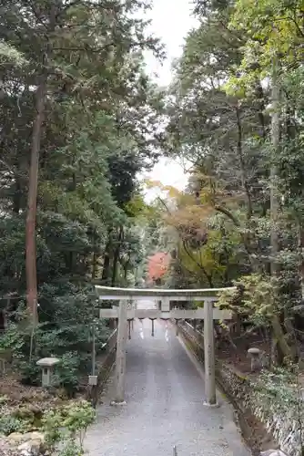 崇道神社の鳥居