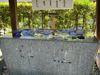 桜神宮(東京都)