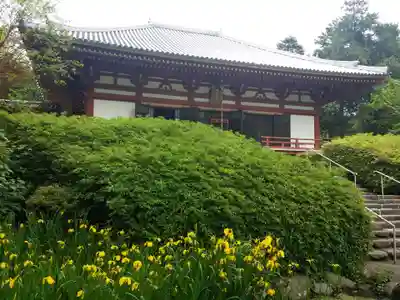 久安寺のその他建物
